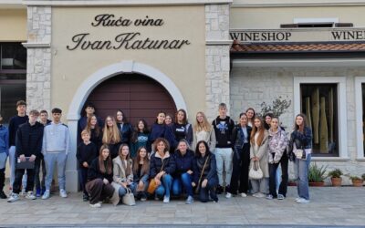 Prva projektna nastava u okviru modularne nastave: Zdravlje u kapljici – vino i ulje kroz znanost