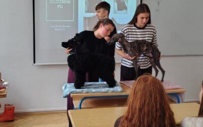 Dva psa, dva svijeta: Kako su nam Drago i Boa otkrili tajne pseće komunikacije