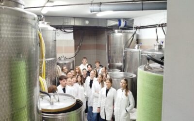 Terenska nastava učenika 4.3 razreda u vinariji Plovanić
